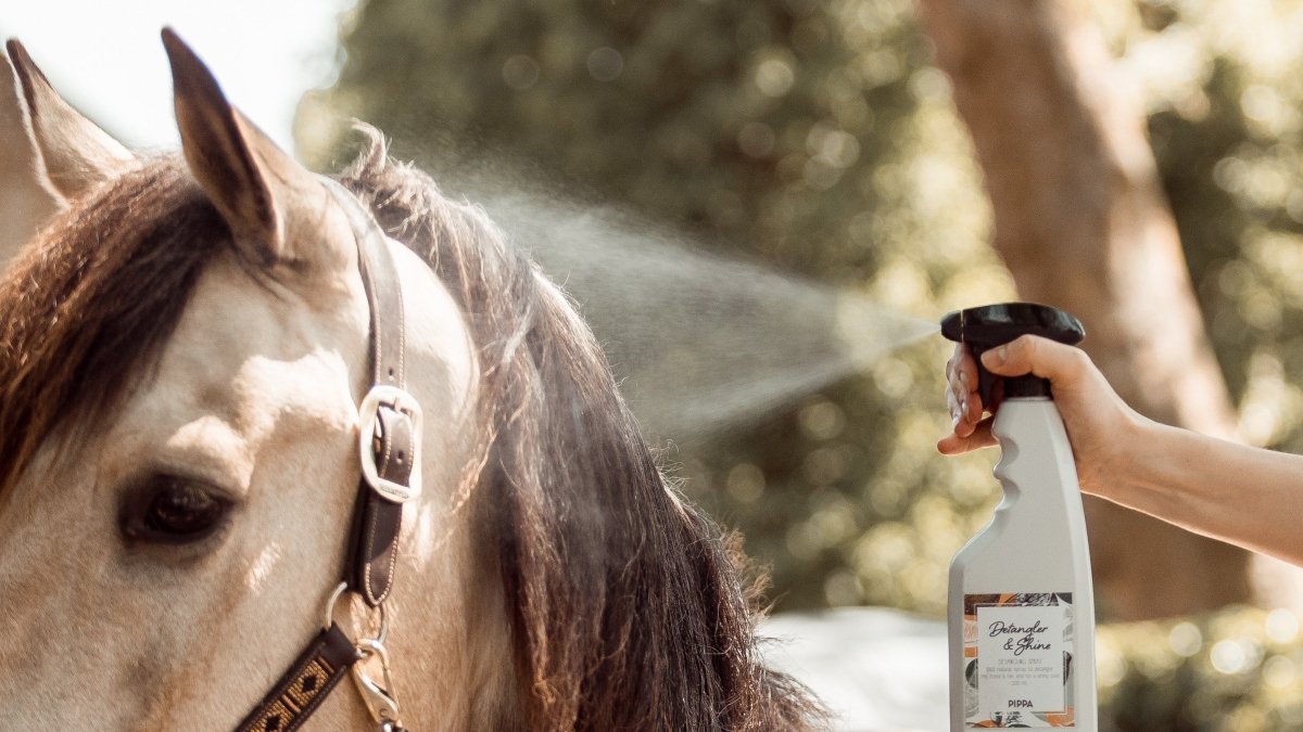 Wat is Detangler & Shine en waar moet je op letten? - PIPPA Equestrian Soap