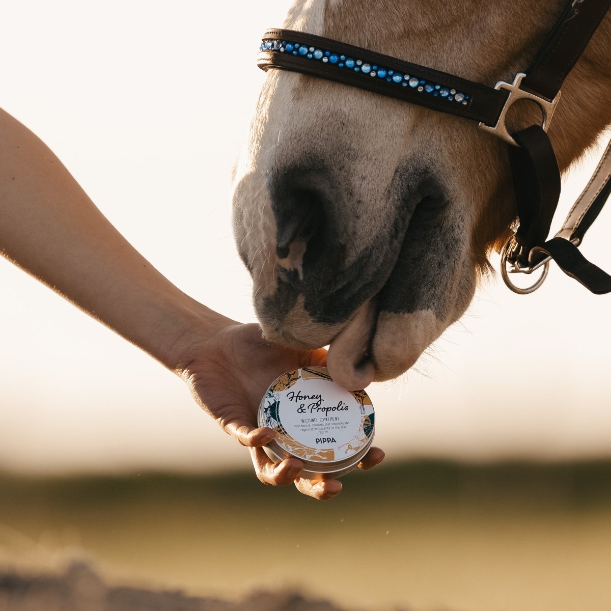 PIPPA Honey & Propolis Honingzalf - PIPPA Equestrian Soap - honingzalf