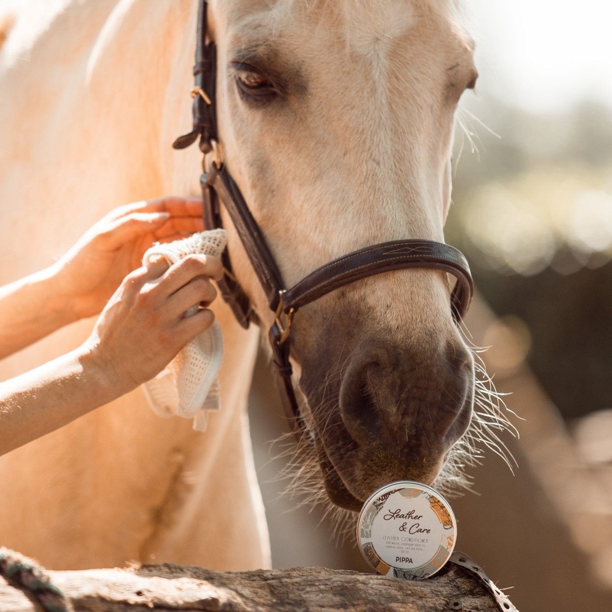 PIPPA Leather & Care Lederwax - PIPPA Equestrian Soap - Geneesmiddelen voor huisdieren